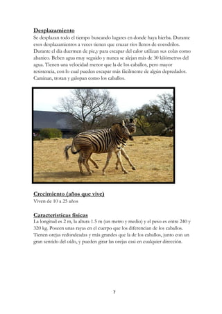 Desplazamiento
Se desplazan todo el tiempo buscando lugares en donde haya hierba. Durante
esos desplazamientos a veces tienen que cruzar ríos llenos de cocodrilos.
Durante el día duermen de pie,y para escapar del calor utilizan sus colas como
abanico. Beben agua muy seguido y nunca se alejan más de 30 kilómetros del
agua. Tienen una velocidad menor que la de los caballos, pero mayor
resistencia, con lo cual pueden escapar más fácilmente de algún depredador.
Caminan, trotan y galopan como los caballos.




Crecimiento (años que vive)
Viven de 10 a 25 años

Características físicas
La longitud es 2 m, la altura 1.5 m (un metro y medio) y el peso es entre 240 y
320 kg. Poseen unas rayas en el cuerpo que los diferencian de los caballos.
Tienen orejas redondeadas y más grandes que la de los caballos, junto con un
gran sentido del oído, y pueden girar las orejas casi en cualquier dirección.




                                        7
 