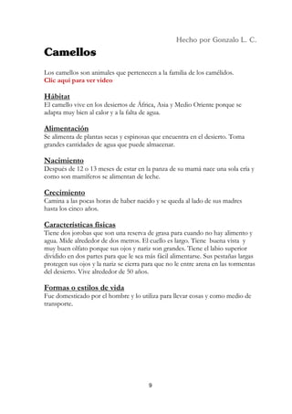 Los camellos son animales que pertenecen a la familia de los camélidos.
Clic aquí para ver video

Hábitat
El camello vive en los desiertos de África, Asia y Medio Oriente porque se
adapta muy bien al calor y a la falta de agua.

Alimentación
Se alimenta de plantas secas y espinosas que encuentra en el desierto. Toma
grandes cantidades de agua que puede almacenar.

Nacimiento
Después de 12 o 13 meses de estar en la panza de su mamá nace una sola cría y
como son mamíferos se alimentan de leche.

Crecimiento
Camina a las pocas horas de haber nacido y se queda al lado de sus madres
hasta los cinco años.

Características físicas
Tiene dos jorobas que son una reserva de grasa para cuando no hay alimento y
agua. Mide alrededor de dos metros. El cuello es largo. Tiene buena vista y
muy buen olfato porque sus ojos y nariz son grandes. Tiene el labio superior
dividido en dos partes para que le sea más fácil alimentarse. Sus pestañas largas
protegen sus ojos y la nariz se cierra para que no le entre arena en las tormentas
del desierto. Vive alrededor de 50 años.

Formas o estilos de vida
Fue domesticado por el hombre y lo utiliza para llevar cosas y como medio de
transporte.




                                        9
 