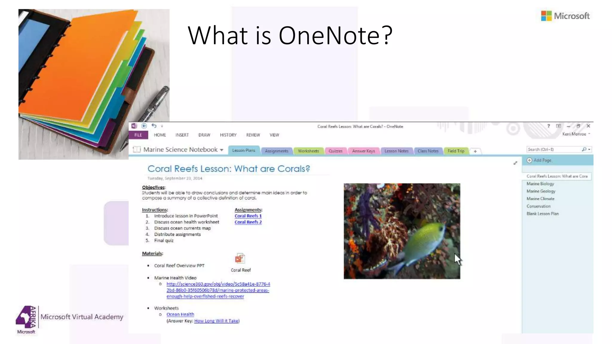 Slide 5