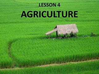 LESSON 4
AGRICULTURE
 