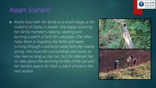 Assam Scenario
 Rinjha lived with her family in a small village at the
outskirts of Diphu in Assam. She enjoys watching
her family members clearing, slashing and
burning a patch of land for cultivation. She often
helps them in irrigating the fields with water
running through a bamboo canal from the nearby
spring. She loves the surroundings and wants to
stay here as long as she can, but this little girl has
no idea about the declining fertility of the soil and
her family’s search for fresh a patch of land in the
next season.
 