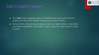 Zaid Cropping Season
 The Zaid is the cropping season In between the rabi and the kharif
seasons; it’s the short season during the summer months.
 Some of the crops produced during ‘zaid’ are watermelon, muskmelon,
cucumber, vegetables and fodder crops. Sugarcane takes almost a year
to grow
 