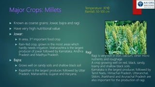 Major Crops: Millets
 Known as coarse grains: Jowar, bajra and ragi
 Have very high nutritional value
 Jowar:
 In area, 3rd important food crop
 Rain-fed crop, grown in the moist areas which
hardly needs irrigation. Maharashtra is the largest
producer of jowar followed by Karnataka, Andhra
Pradesh and Madhya Pradesh.
 Bajra:
 Grows well on sandy soils and shallow black soil
 Rajasthan is the largest producer, followed by Uttar
Pradesh, Maharashtra, Gujarat and Haryana.
Ragi
Ragi is very rich in iron, calcium, other micro
nutrients and roughage
A crop growing well on red, black, sandy,
loamy and shallow black soils.
Karnataka is the largest producer, followed by
Tamil Nadu. Himachal Pradesh, Uttaranchal,
Sikkim, Jharkhand and Arunachal Pradesh are
also important for the production of ragi.
Temperature: 30˚C
Rainfall: 50-100 cm
 
