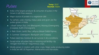 Pulses
 India is the largest producer & consumer of pulses in the world.
Grown in all three seasons.
 Major source of protein in a vegetarian diet
 Tur (arhar), urad, moong, masur, peas and gram are the major
pulses grown in India.
 i. Kharif :Arhar (Tur), Urd (Blackgram), Moong (Greengram), Lobia
(Cowpea), Kulthi (Horsegram);
 ii. Rabi :Gram, Lentil, Pea, Lathyrus (Kesari Dal)& Rajmas;
 iii. Summer :Greengram, Blackgram and Cowpea.
 Pulses need less moisture & can survive in dry conditions.
 Except arhar all pulses help in restoring soil fertility--by fixing
nitrogen from the air—leguminous crops,
 Mostly grown in rotation with other crops. Major pulse producing states
in India are MP, UP, Rajasthan, Maharashtra and Karnataka.
Temp: 23˚C
Rainfall: 43cm
 