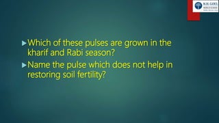 Which of these pulses are grown in the
kharif and Rabi season?
Name the pulse which does not help in
restoring soil fertility?
 