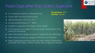 Food Crops other than Grains: Sugarcane
 It is a tropical as well as a subtropical crop.
 Grows well in hot and humid climate
 Ideal temperature of 21°C to 27°C
 Annual rainfall between 75 - 100cm.
 Irrigation is required in the regions of low rainfall.
 Can be grown on a variety of soils and needs manual labour from
sowing to harvesting.
 India is the second largest producer of sugarcane only after Brazil
 Main source of sugar, gur (jaggary), khandsari and molasses.
 Major sugarcane-producing states are Uttar Pradesh, Maharashtra,
Karnataka, Tamil Nadu, Andhra Pradesh, Bihar, Punjab and Haryana.
Temperature: 25˚C
Rainfall: 120 cm
 