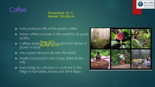 Coffee
 India produces 4% of the world’s coffee
 Indian coffee is known in the world for its good
quality.
 Coffeea arabica variety brought from Yemen is
grown in India
 Has a great demand all over the world
 Intially introduced in the Coorg, Baba Budan
Hills
 Even today its cultivation is confined to the
Nilgiri in Karnataka, Kerala and Tamil Nadu.
Temperature: 25 ˚C
Rainfall: 150-250 cm
Temp: 25˚C
Rainfall: 65 cm
 