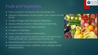 Fruits and Vegetables
 India is a producer of tropical as well as temperate fruits.
 Mangoes of Maharashtra, Andhra Pradesh, Uttar Pradesh and West
Bengal
 Oranges of Nagpur and Cherrapunjee (Meghalaya)
 Bananas of Kerala, Mizoram, Maharashtra and Tamil Nadu,
 Litchi and Guava of Uttar Pradesh and Bihar,
 Pineapples of Meghalaya,
 Grapes of Andhra Pradesh and Maharashtra
 Apples, pears, apricots and walnuts of Jammu and Kashmir and
Himachal Pradesh are in great demand the world over.
 India produces about 13 per cent of the world’s vegetables.
 Important producer of pea, cauliflower, onion, cabbage, tomato,
brinjal and potato.
 