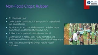 Non-Food Crops: Rubber
 An equatorial crop
 Under special conditions, it is also grown in tropical and
sub-tropical areas
 Requires moist and humid climate with rainfall of more
than 200 cm. and temperature above 25°C
 Rubber is an important industrial raw material
 Mainly grown in Kerala, Tamil Nadu, Karnataka and
Andaman and Nicobar islands and Garo hills of Meghalaya.
 India ranks fifth among the world’s natural rubber
producers
 