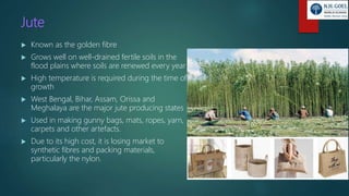 Jute
 Known as the golden fibre
 Grows well on well-drained fertile soils in the
flood plains where soils are renewed every year
 High temperature is required during the time of
growth
 West Bengal, Bihar, Assam, Orissa and
Meghalaya are the major jute producing states
 Used in making gunny bags, mats, ropes, yarn,
carpets and other artefacts.
 Due to its high cost, it is losing market to
synthetic fibres and packing materials,
particularly the nylon.
 