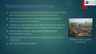 Primitive Subsistence Farming
 It involves clearing a plot of land by felling trees, burning the felled
trees, mixing the ashes with soil, and then growing crops
 After the soil loses its fertility, the land is abandoned and the
cultivator moves on to a new plot.
 Practised on small patches of land with the help of primitive tools
like hoe, dao and digging sticks, and family/ community labour.
 Depends upon monsoon, soil’s natural fertility and other
environmental conditions
 Crops like maize, yam, potatoes and cassava are grown on the
cleared land.
 Aka., slash-and-burn cultivation
Practised in few pockets
of North East
 
