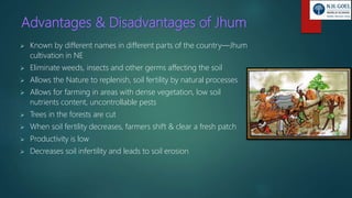Advantages & Disadvantages of Jhum
 Known by different names in different parts of the country—Jhum
cultivation in NE
 Eliminate weeds, insects and other germs affecting the soil
 Allows the Nature to replenish, soil fertility by natural processes
 Allows for farming in areas with dense vegetation, low soil
nutrients content, uncontrollable pests
 Trees in the forests are cut
 When soil fertility decreases, farmers shift & clear a fresh patch
 Productivity is low
 Decreases soil infertility and leads to soil erosion
 