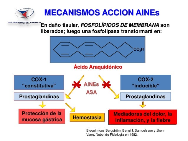 4 aines