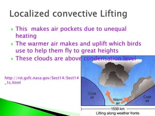  This makes air pockets due to unequal
heating
 The warmer air makes and uplift which birds
use to help them fly to great heights
 These clouds are above condensation level
http://rst.gsfc.nasa.gov/Sect14/Sect14
_1c.html
 