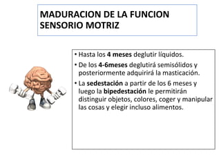 MADURACION DE LA FUNCION
SENSORIO MOTRIZ
• Hasta los 4 meses deglutir líquidos.
• De los 4-6meses deglutirá semisólidos y
posteriormente adquirirá la masticación.
• La sedestación a partir de los 6 meses y
luego la bipedestación le permitirán
distinguir objetos, colores, coger y manipular
las cosas y elegir incluso alimentos.
 