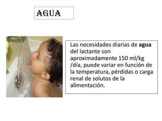 Las necesidades diarias de agua
del lactante son
aproximadamente 150 ml/kg
/día, puede variar en función de
la temperatura, pérdidas o carga
renal de solutos de la
alimentación.
AGUA
 