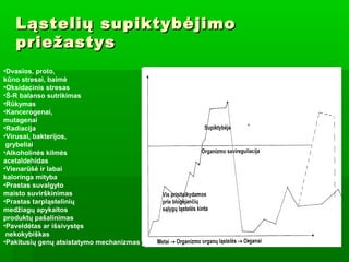 Juozas Ruolia: Vaistažolės, fitoterapiniai, homeopatiniai, vaistai slopinantis piktybinių navikų aktyvumą  Slide 6