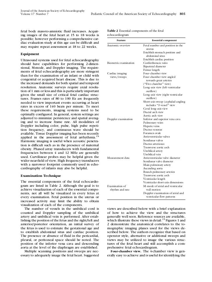 Pediatric Echo Report Template Pediatric Echo Report Template