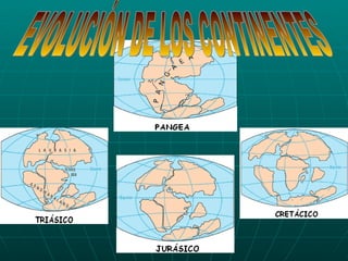 EVOLUCIÓN DE LOS CONTINENTES 
