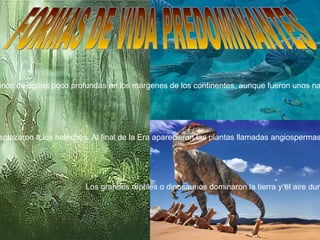 FORMAS DE VIDA PREDOMINANTES Los grandes reptiles o dinosaurios dominaron la tierra y el aire durante millones de años.  Se renovó la flora y la fauna: las gimnospermas,   plantas vasculares que forman semillas pero carecen de flores,  desplazaron a los helechos. Al final de la Era aparecieron las plantas llamadas angiospermas. Angiosperma (del latín angi, encerrada y del griego sperma, semilla). Los ammonites abundaron en medios marinos de aguas poco profundas en los márgenes de los continentes, aunque fueron unos nadadores bastante lentos y evitaban las aguas de las orillas, dominadas por las olas  