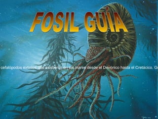FOSIL GUÍA Los  ammonoideos  ( Ammonoidea ), conocidos popularmente como  amonites , son una subclase de moluscos cefalópodos extintos que existieron en los mares desde el Devónico hasta el Cretácico. Gracias a su rápida evolución y distribución mundial son fósiles excelentes para la datación de rocas (fósil guía).  