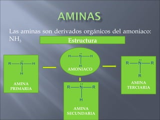 Las aminas son derivados orgánicos del amoniaco:
NH3 Estructura
AMINA
PRIMARIA
AMINA
SECUNDARIA
AMINA
TERCIARIA
AMONIACO
 