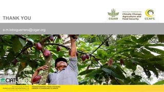 Technology Advantage Transformation Initiative - Ana Maria Loboguerrero CGIAR Research Program on Climate Change, Agriculture and Food Security