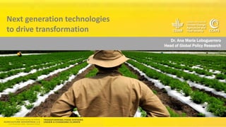 Technology Advantage Transformation Initiative - Ana Maria Loboguerrero CGIAR Research Program on Climate Change, Agriculture and Food Security