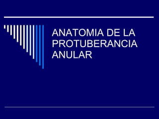 ANATOMIA DE LA PROTUBERANCIA ANULAR 