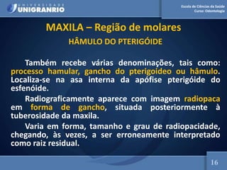 Escola de Ciências da Saúde
Curso: Odontologia
MAXILA – Região de molares
HÂMULO DO PTERIGÓIDE
Também recebe várias denominações, tais como:
processo hamular, gancho do pterigoideo ou hâmulo.
Localiza-se na asa interna da apófise pterigóide do
esfenóide.
Radiograficamente aparece com imagem radiopaca
em forma de gancho, situada posteriormente à
tuberosidade da maxila.
Varia em forma, tamanho e grau de radiopacidade,
chegando, às vezes, a ser erroneamente interpretado
como raiz residual.
16
 