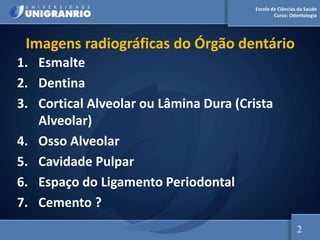 Escola de Ciências da Saúde
Curso: Odontologia
Imagens radiográficas do Órgão dentário
1. Esmalte
2. Dentina
3. Cortical Alveolar ou Lâmina Dura (Crista
Alveolar)
4. Osso Alveolar
5. Cavidade Pulpar
6. Espaço do Ligamento Periodontal
7. Cemento ?
2
 