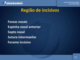 Escola de Ciências da Saúde
Curso: Odontologia
Região de incisivos
Fossas nasais
Espinha nasal anterior
Septo nasal
Sutura intermaxilar
Forame incisivo
23
 