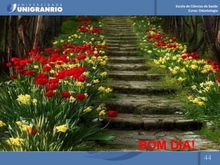 Escola de Ciências da Saúde
Curso: Odontologia
44
BOM DIA!
 