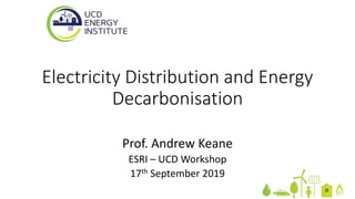 Prof. Andrew Keane
ESRI – UCD Workshop
17th September 2019
Electricity Distribution and Energy
Decarbonisation
 