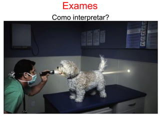 Exames
Como interpretar?
 