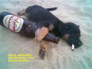 TODAS AGRESSÕES
TEM POTENCIAL PARA
CAUSAR ANEMIA
 