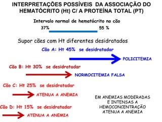 INTERPRETAÇÕES POSSÍVEIS DA ASSOCIAÇÃO DO
HEMATÓCRITO (Ht) C/ A PROTEÍNA TOTAL (PT)
37% 55 %
Intervalo normal de hematócrito no cão
Supor cães com Ht diferentes desidratados
Cão A: Ht 45% se desidratadar
Cão B: Ht 30% se desidratadar
Cão C: Ht 25% se desidratadar
Cão D: Ht 15% se desidratadar
POLICITEMIA
NORMOCITEMIA FALSA
ATENUA A ANEMIA
ATENUA A ANEMIA
EM ANEMIAS MODERADAS
E INTENSAS A
HEMOCONCENTRAÇÃO
ATENUA A ANEMIA
 
