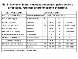 Ex. 6: bovino c/ febre, mucosas congestas, pelos secos e
arrepiados, refil capilar prolongado e c/ diarréia.
ERITROGRAMA LEUCOGRAMA
He: 13 (5,0 – 10,0 X 106/µL) LEUCOMETRIA GLOBAL: 3.000 (4,0 -12,0 x 103 / µL)
Hb: 18 ( 8,0 - 15 g/dl) C. DIFERENCIAL % /µL
Ht: 54 ( 24 - 46%) Monócitos 4 (2 - 7) 120 (25 - 840)
VCM: 41,5 (40 - 60 fl) Linfócitos 20 (45 - 75) 600 (2.500 – 7.500)
CHCM: 33 (30 - 36%) Basófilos 0 (0 - 2) 0 (0 - 200)
PPT: 13,0 ( 7,0 – 8,5 g/dl) Eosinófilos 0 (1 - 20) 0 (100 - 2400)
FIBRINOGÊNIO: 1.500 (300-700 mg/dl) N. mielócitos 0 0 0 0
PLAQUETAS: 600.000 /µl N. metamielócitos 0 0 0 0
(200000 - 600.000/µl) N. bastões 1 (0 - 2) 30 (0 - 120)
RETIC. % e /µl: Não solicitado! N. segmentados 75 (15 - 45) 2.250 (600 – 4.000)
N. totais 76 (15 - 47) 2.280 (600 – 4.120)
Microscopia: Neutrófilos tóxicos +++
 