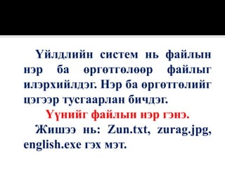 Үйлдлийн систем нь файлын
нэр ба өргөтгөлөөр файлыг
илэрхийлдэг. Нэр ба өргөтгөлийг
цэгээр тусгаарлан бичдэг.
    Үүнийг файлын нэр гэнэ.
  Жишээ нь: Zun.txt, zurag.jpg,
english.exe гэх мэт.
 