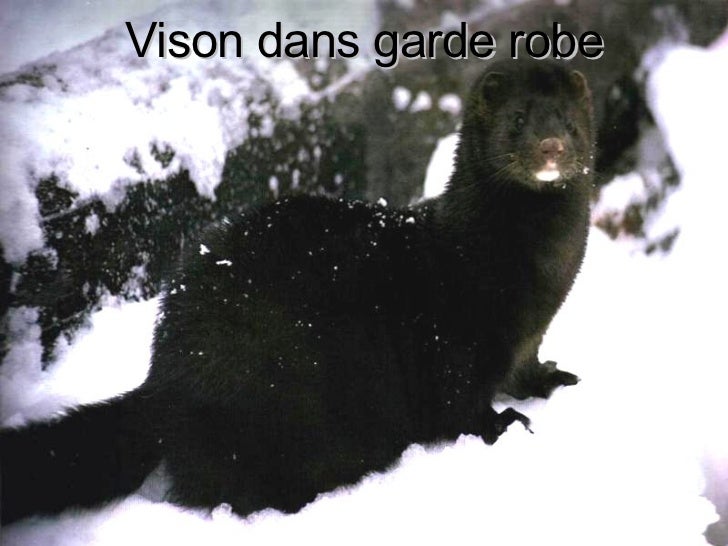 quels sont les 4 animaux necessaires a une femme