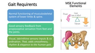 Gait Requirents
Normal functioning of musculoskeletal
system of lower limbs & spine.
Good sensory feedback from
propioceptive sensation from feet and
the joints.
Visual, labrinthine sensory inputs & co
ordination. That, adds smoothness,
rhythm & elegance to the human gait.
MSK Functional
Elements
 