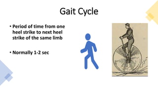 Gait Cycle
• Period of time from one
heel strike to next heel
strike of the same limb
• Normally 1-2 sec
 