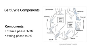 Gait Cycle Components
Components:
•Stance phase :60%
•Swing phase :40%
K.PRAKASAM, THOUSEEF A MAJEED
 