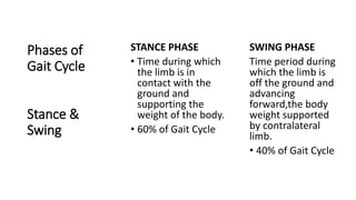 Phases of
Gait Cycle
Stance &
Swing
STANCE PHASE
• Time during which
the limb is in
contact with the
ground and
supporting the
weight of the body.
• 60% of Gait Cycle
SWING PHASE
Time period during
which the limb is
off the ground and
advancing
forward,the body
weight supported
by contralateral
limb.
• 40% of Gait Cycle
 