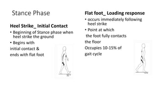 Stance Phase
Heel Strike_ Initial Contact
• Beginning of Stance phase when
heel strike the ground
• Begins with
initial contact &
ends with flat foot
Flat foot_ Loading response
• occurs immediately following
heel strike
• Point at which
the foot fully contacts
the floor
Occupies 10-15% of
gait cycle
 