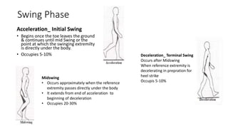 Swing Phase
Acceleration_ Initial Swing
• Begins once the toe leaves the ground
& continues until mid Swing or the
point at which the swinging extremilty
is directly under the body.
• Occupies 5-10%
Midswing
• Occurs approximately when the reference
extremity passes directly under the body
• It extends from end of acceleration to
beginning of deceleration
• Occupies 20-30%
Deceleration_ Terminal Swing
Occurs after Midswing
When reference extremity is
decelerating in prepration for
heel strike
Occupis 5-10%
 