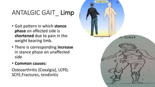ANTALGIC GAIT_ Limp
• Gait pattern in which stance
phase on affected side is
shortened due to pain in the
weight bearing limb.
• There is corresponding increase
in stance phase on unaffected
side
• Common causes:
Osteoarthritis [Coxalgia], LCPD,
SCFE,Fractures, tendinitis
 