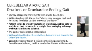 CEREBELLAR ATAXIC GAIT
Drunkers or Drunkard or Reeling Gait
• Clumsy, staggering movements with a wide-based gait.
• While standing still, the patient's body may swagger back and
forth and from side to side, known as titubation
• Patient tends to walk irregularly on wide base, not be able to
walk from heel to toe or in a straight line, swinging sideways
without stability and balance.
• The gait of acute alcohol intoxication
• With unilateral lesion of cerebellum, balance is lost towards the
side of the lesion.
• Cause: Cerebellar lesion & lesion connecting pathway to &
from the cerebellum _ midline cerebellar disease at the vermis.
 