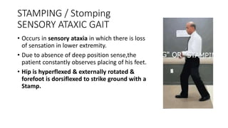 STAMPING / Stomping
SENSORY ATAXIC GAIT
• Occurs in sensory ataxia in which there is loss
of sensation in lower extremity.
• Due to absence of deep position sense,the
patient constantly observes placing of his feet.
• Hip is hyperflexed & externally rotated &
forefoot is dorsiflexed to strike ground with a
Stamp.
 