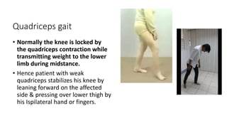 Quadriceps gait
• Normally the knee is locked by
the quadriceps contraction while
transmitting weight to the lower
limb during midstance.
• Hence patient with weak
quadriceps stabilizes his knee by
leaning forward on the affected
side & pressing over lower thigh by
his Ispilateral hand or fingers.
 